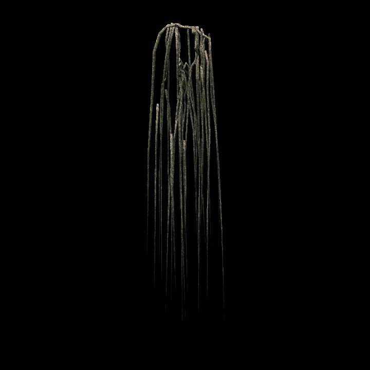 Root_Vines_04