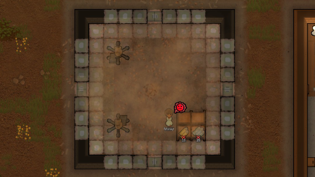 Screenshot 19