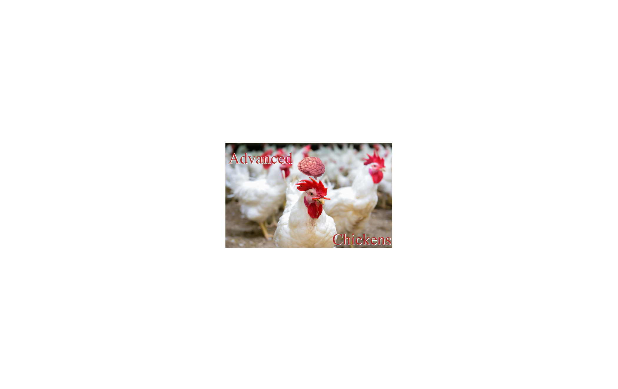 Advanced Chickens mod preview for RimWorld