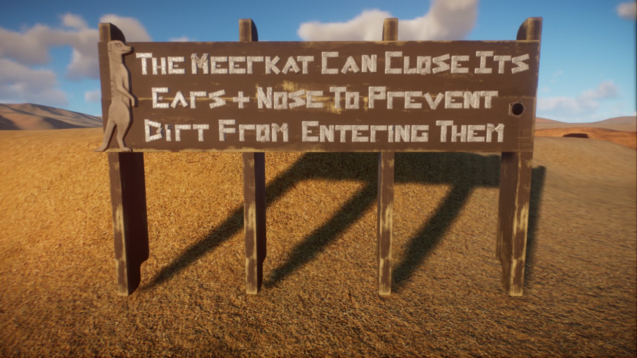 Custom Meerkat Education Board