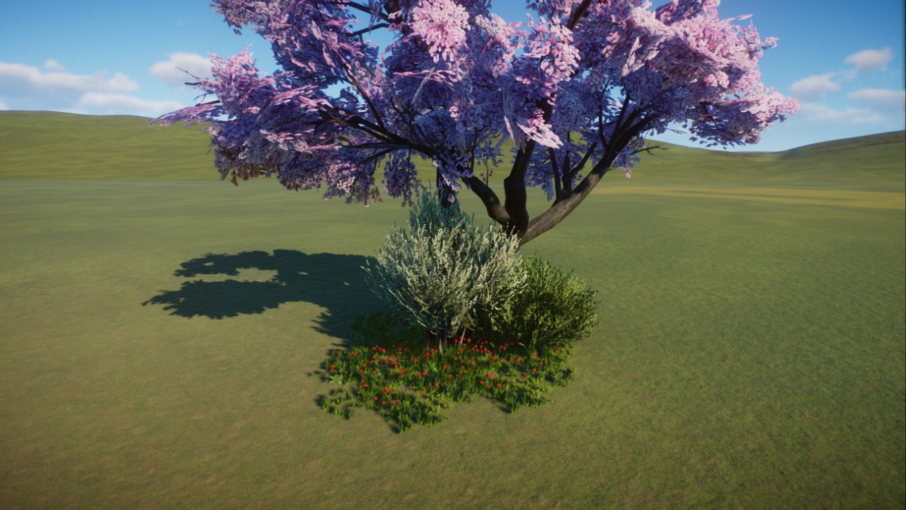 Asiatic temperate cluster
