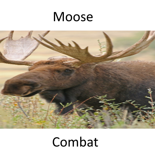 Moose Combat