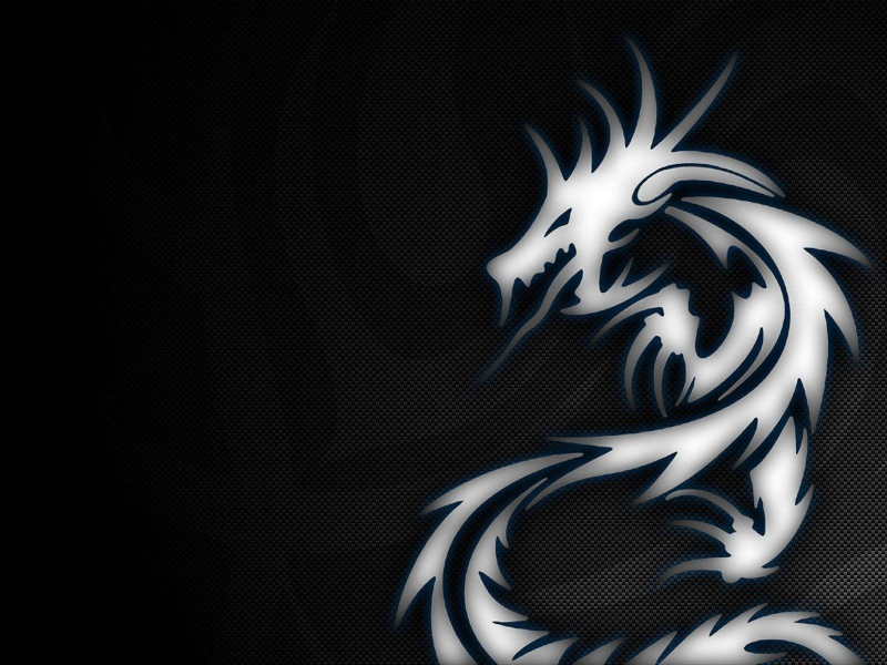 MSI - Silver Dragon