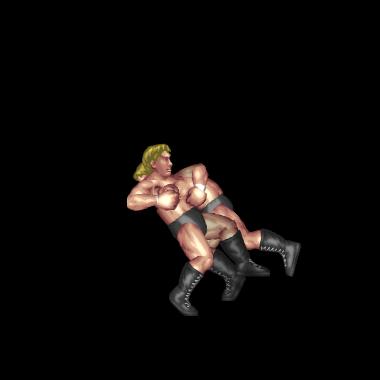 Arm DDT