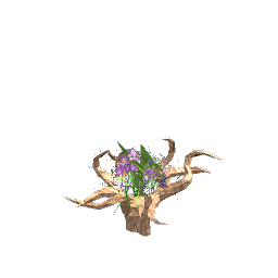 tree root planter
