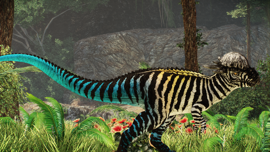 Blue Tailed Pachy