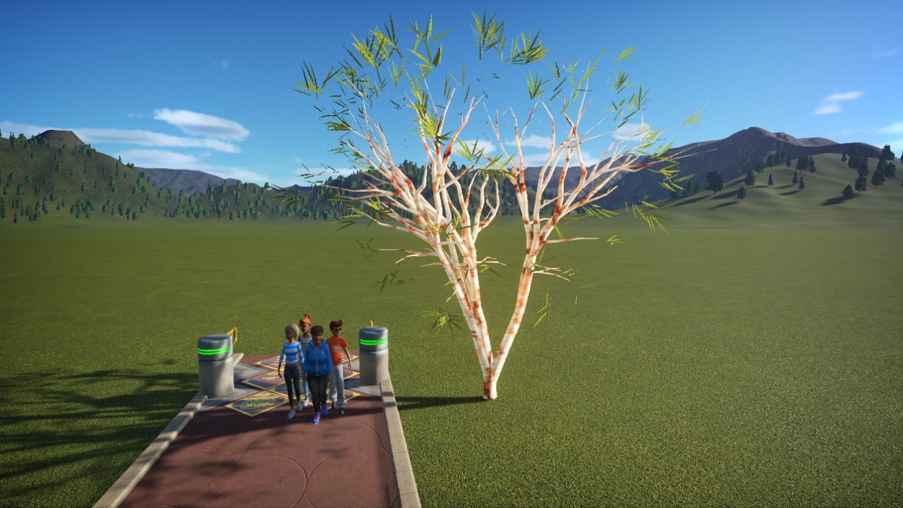 Arbre 06-M-80
