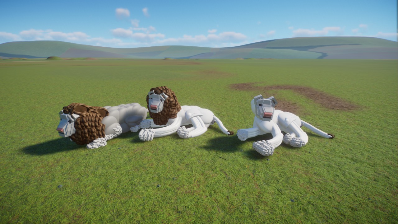 Lion white taxidermie