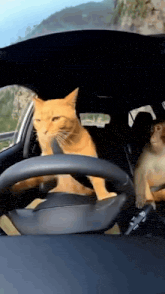 Car Clicker preview