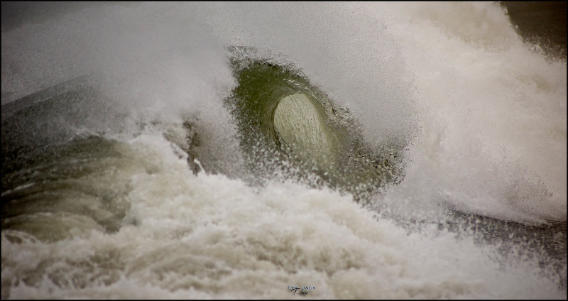 wave