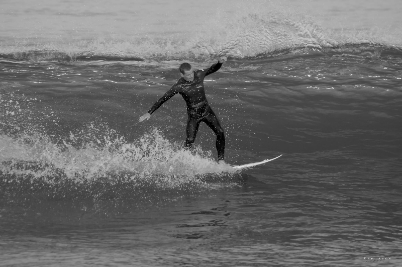 surf moliets 2