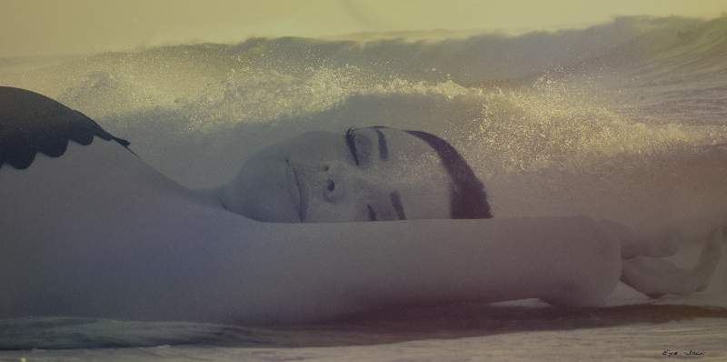  model flo 5 sea