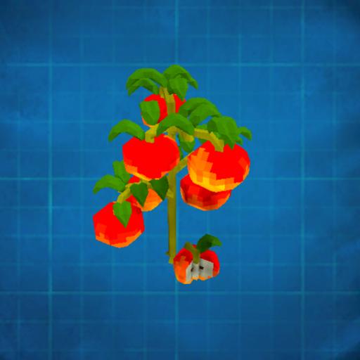 Apple Tree
