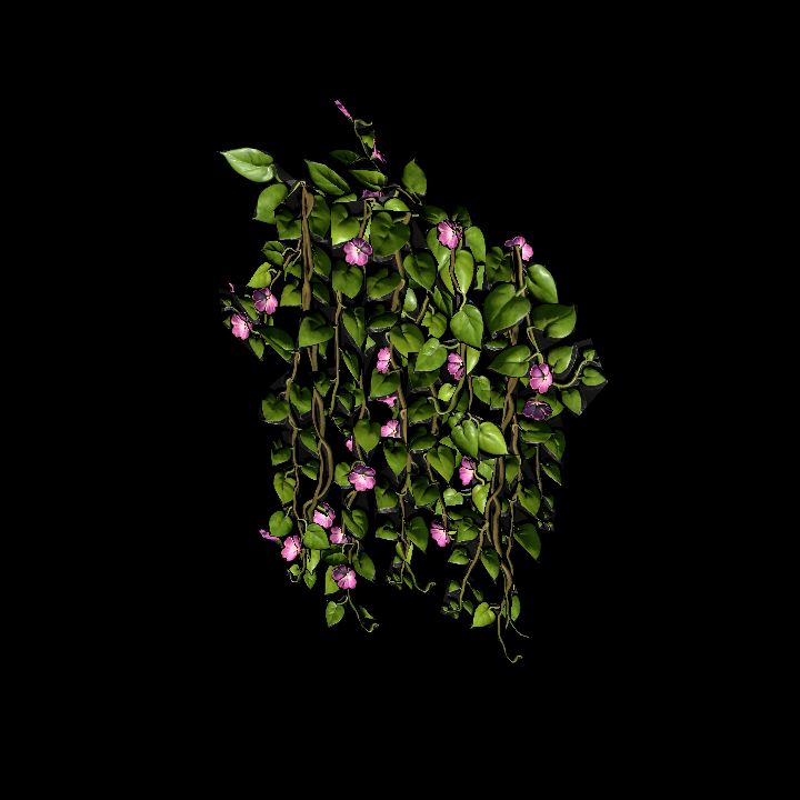 Vine_17