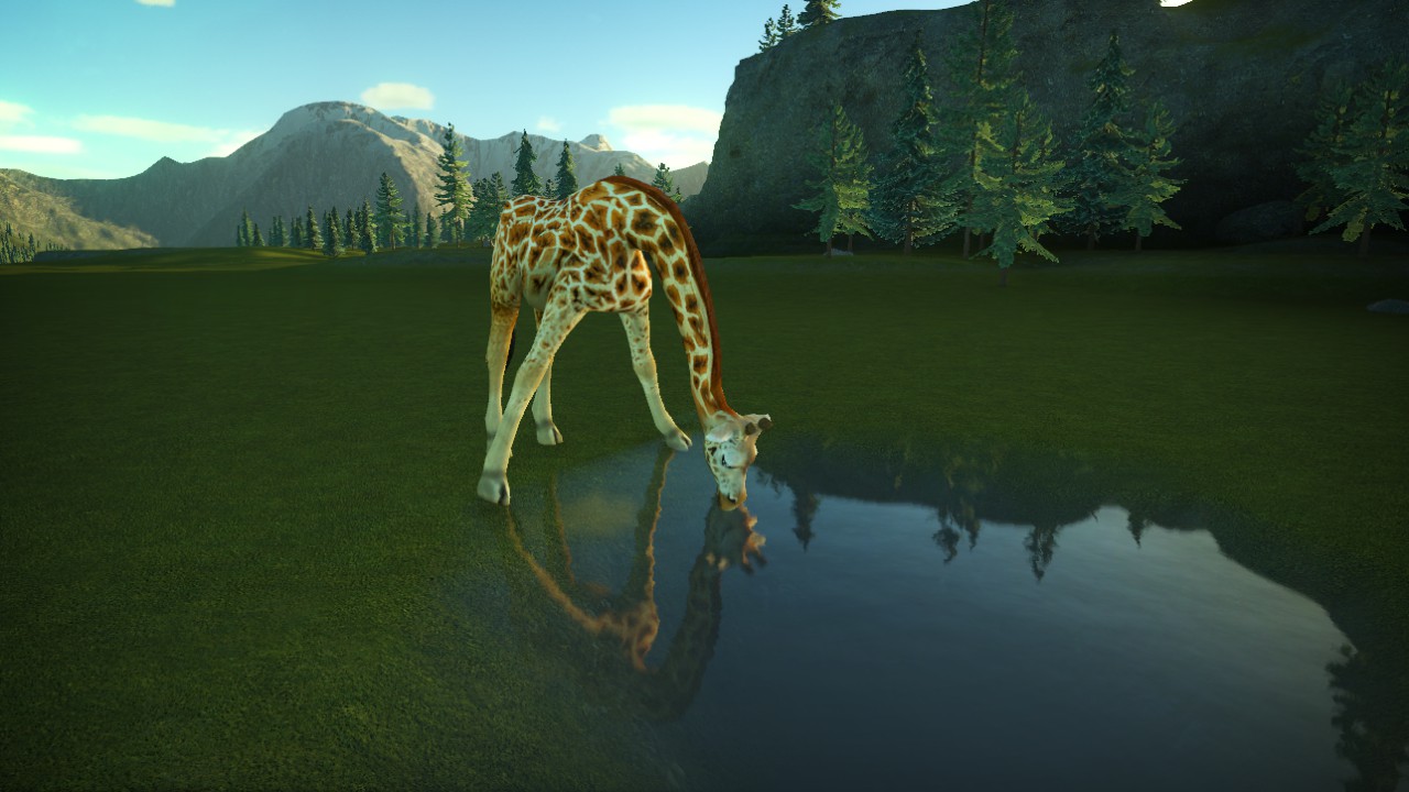 girafe 03