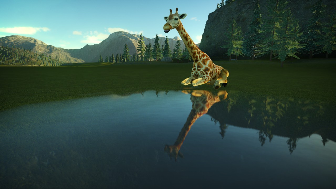 girafe 01