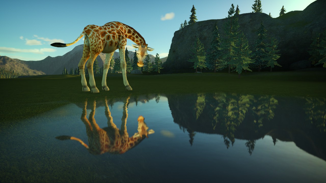 girafe 02