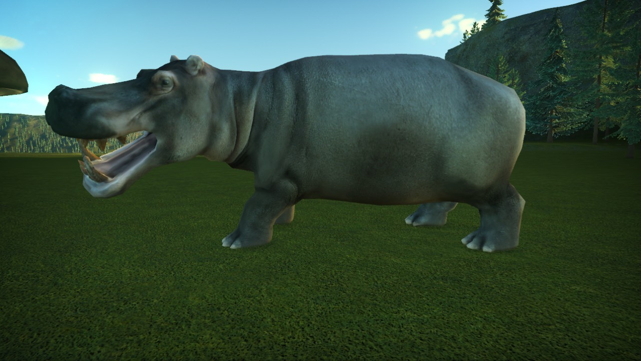 hippopotame 1