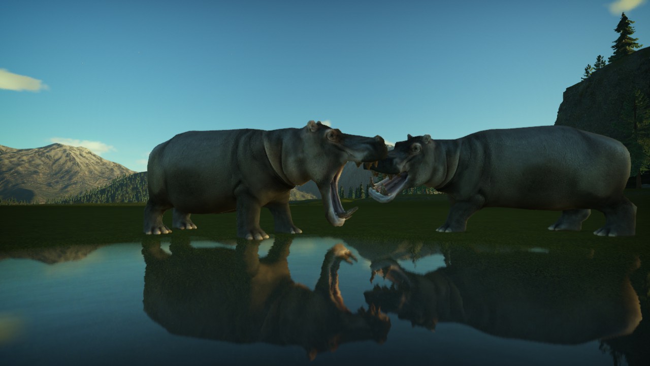 hippopotame 2