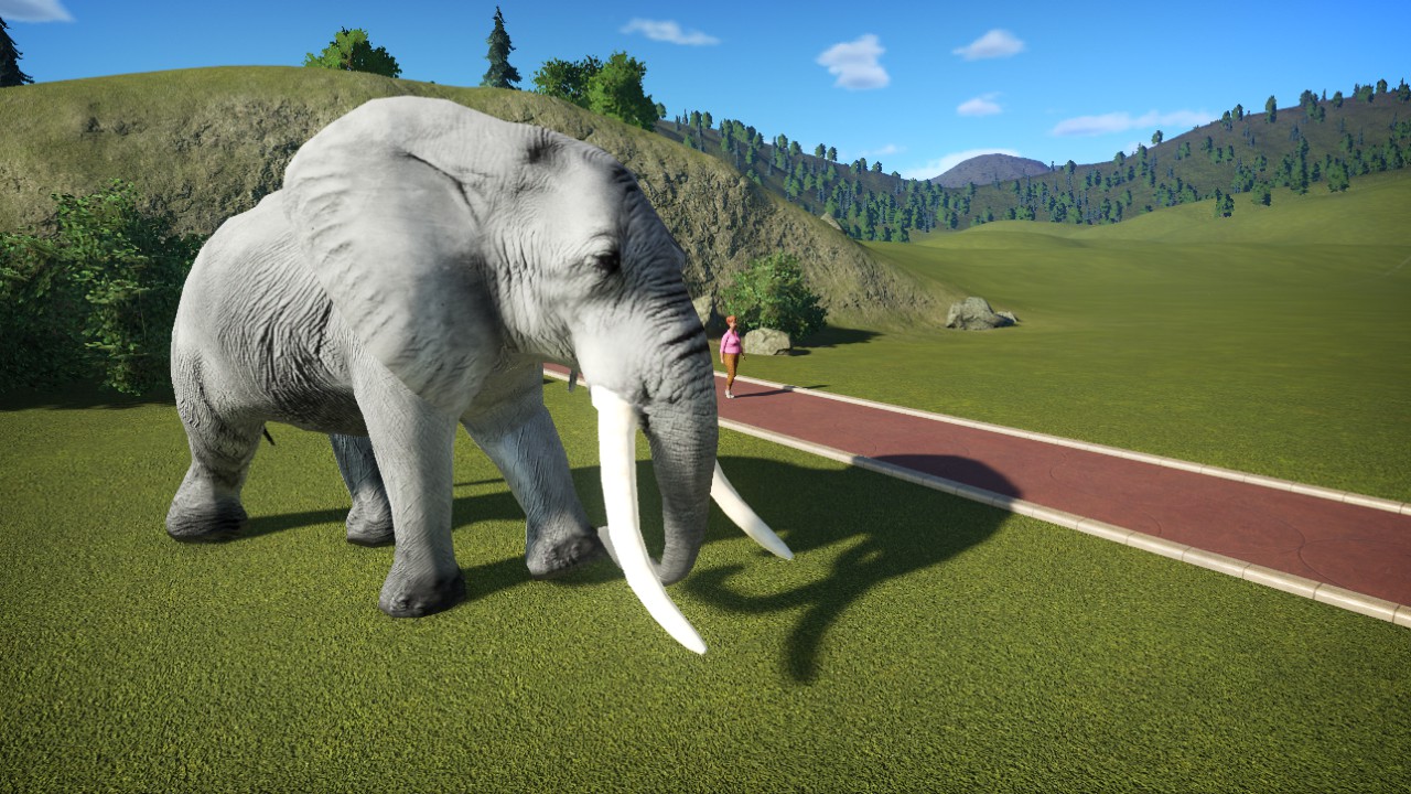elephant - 01