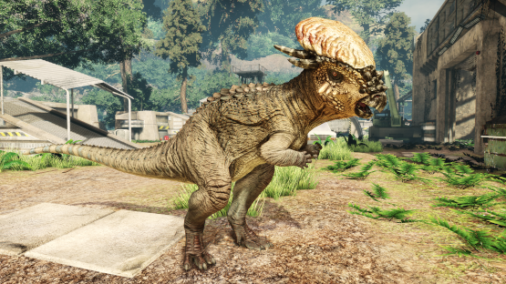 Clypeus Pachy Mutation
