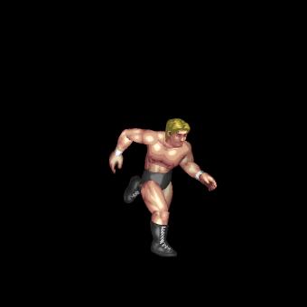 Rope Low Dropkick