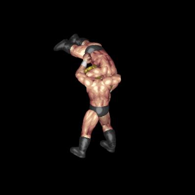 Slingshot Suplex