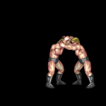 Low Dropkick