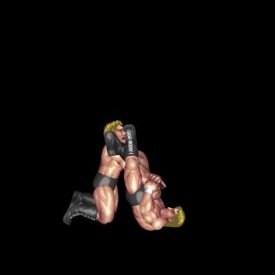 Rolling Double Armbar