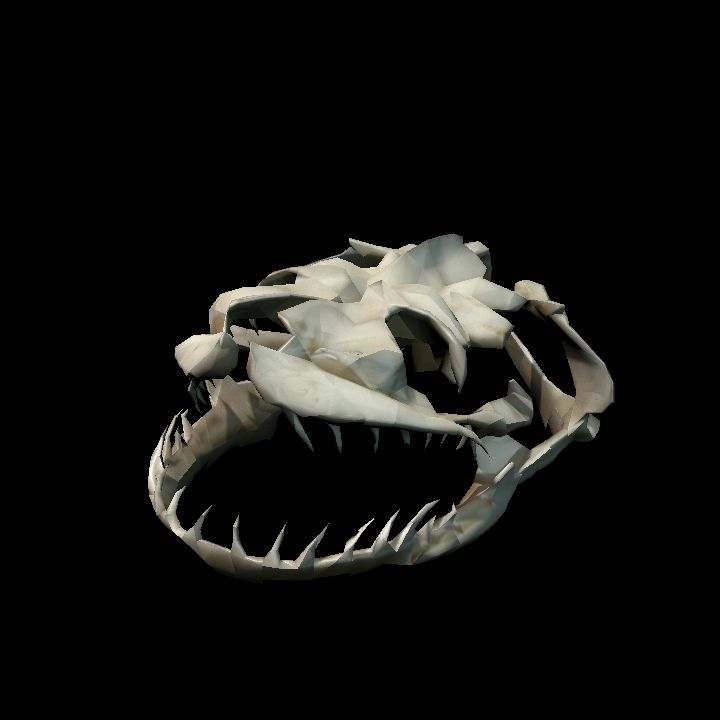 Boa Skull bone