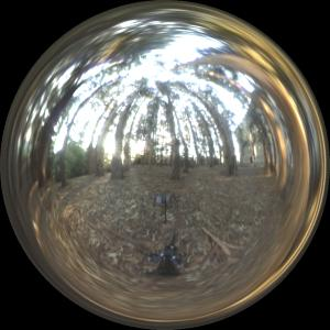 360 Backgrounds HDRi Forest themes