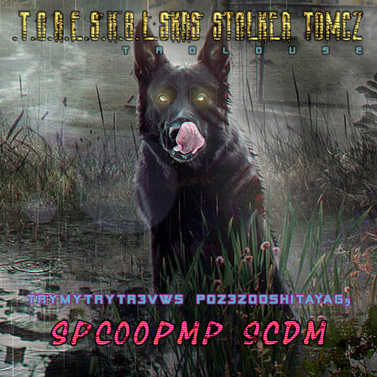 .T.O.R.E.S.K.B.L.SKRS STALKER CZ I.I