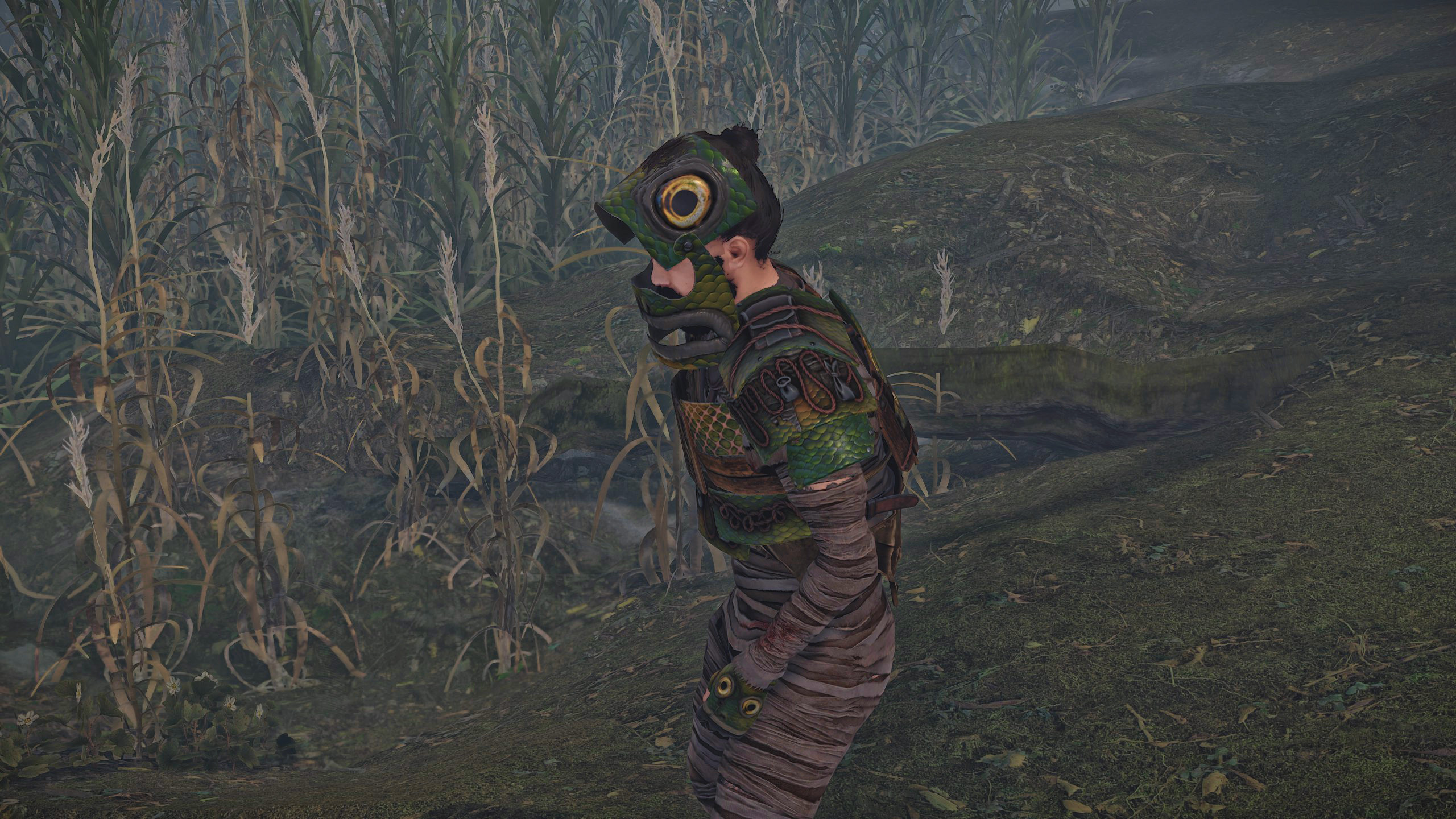 Fish Helmet
