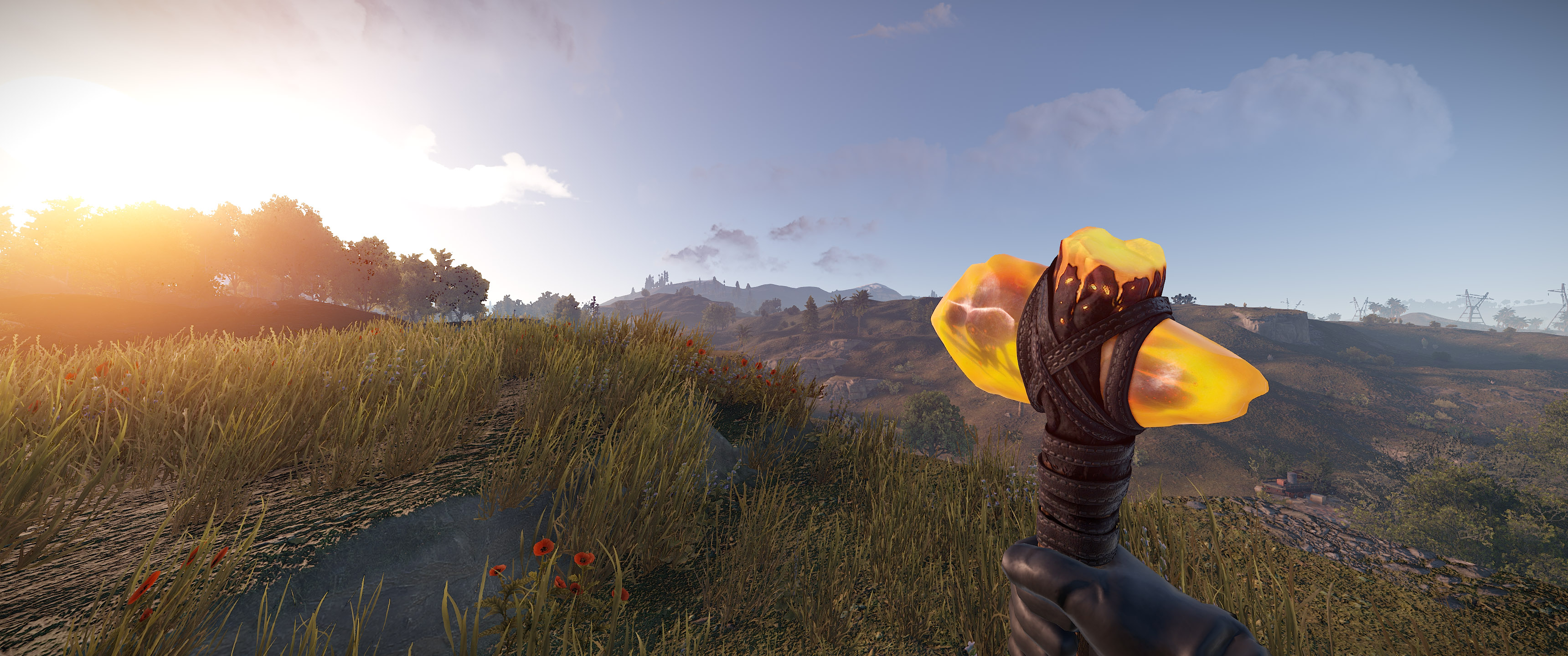 Ancient Amber Stone Hatchet
