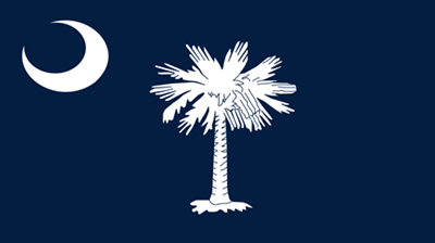 The flag of the state of South Carolina