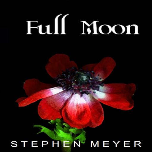 Full Moon by Stephen Meyer preview