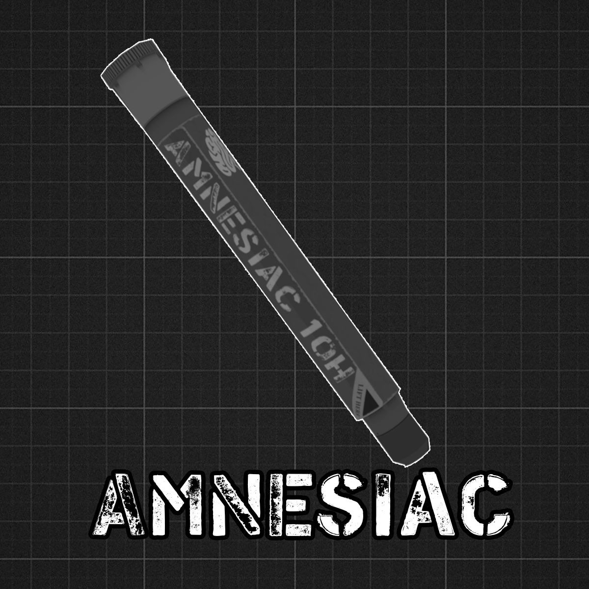 FridForsMods Amnesiac