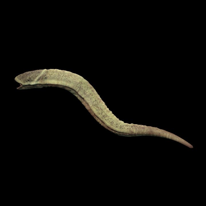 Creature, Monstrosity, Giant Worm 1