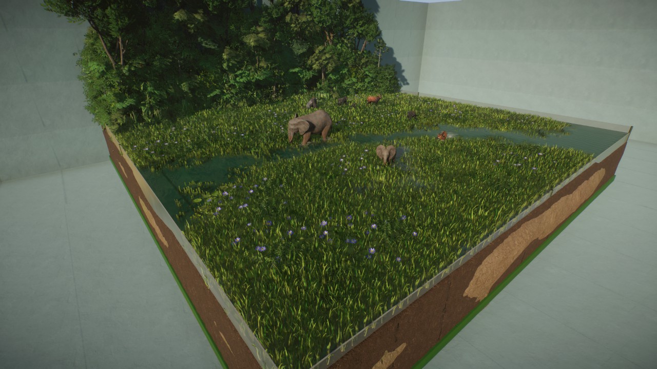 Diorama, Mbeli bai