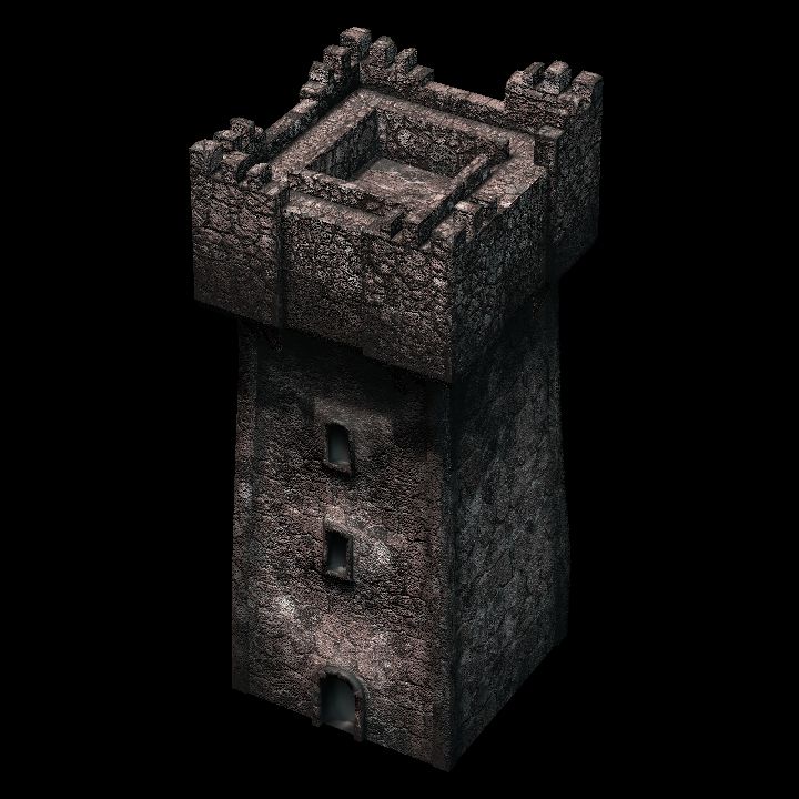 Fort Tower