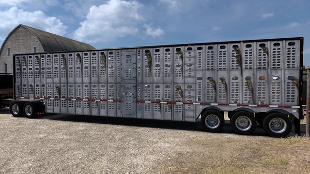 Stained Ruda Wilson Silver Star Skin. Both Lengths