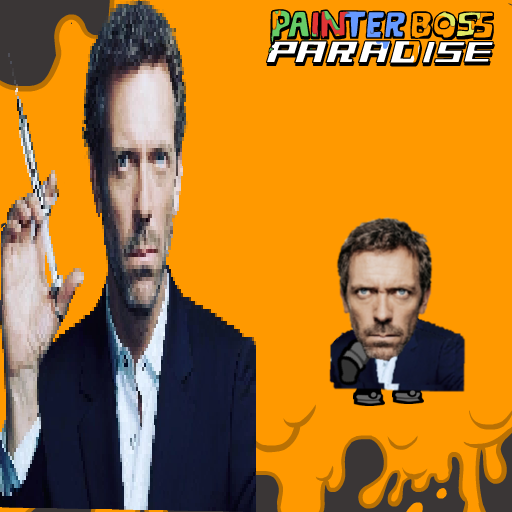 DR HOUSE