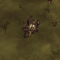 Quick Pick - Thu Hoạch Nhanh – Don't Starve Together Mod
