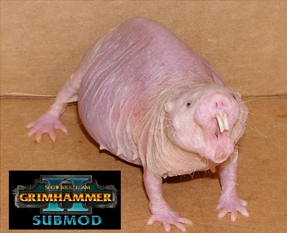 Brood Horror 80 Speed for SFO