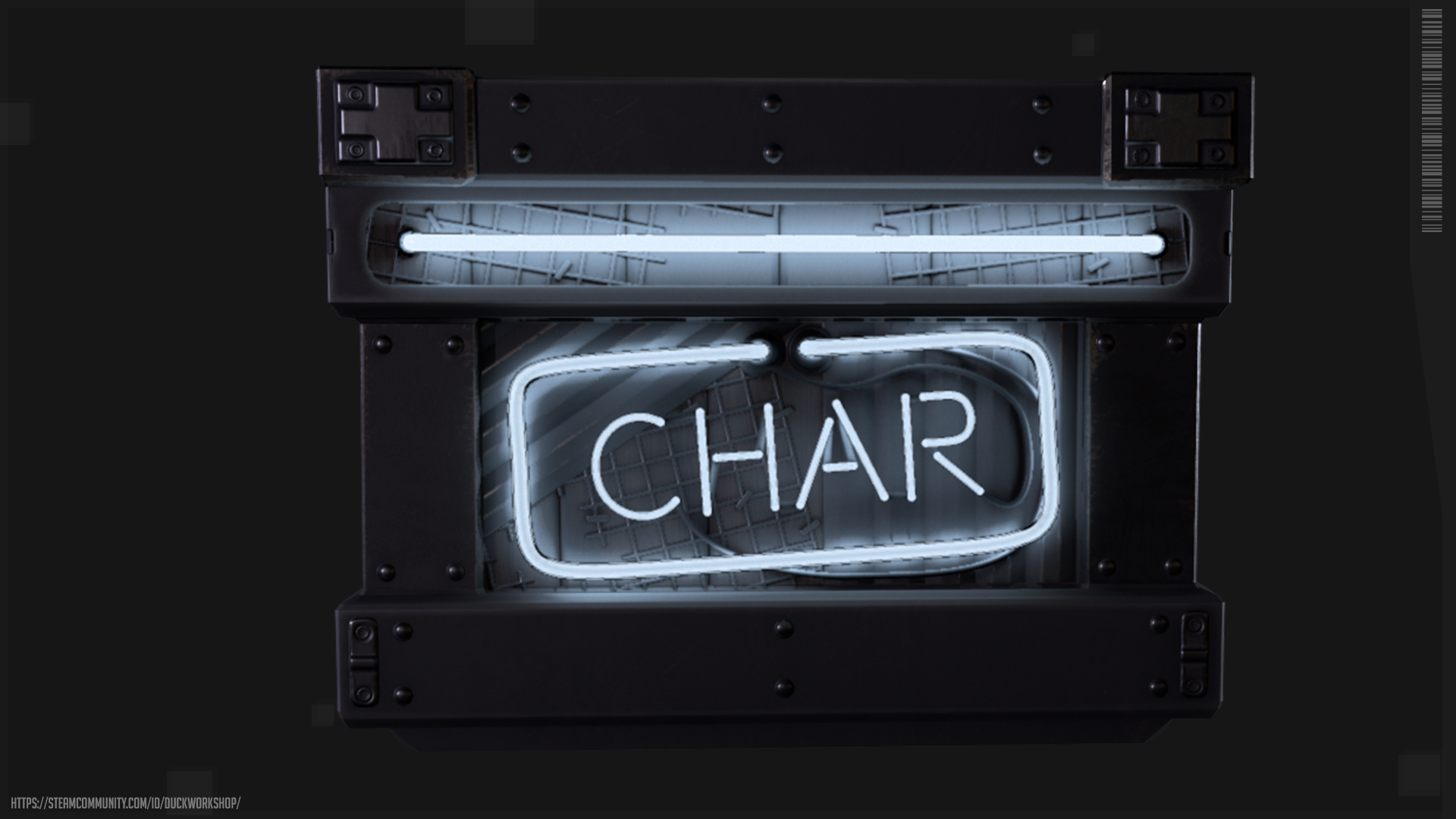 Neon Charcoal Storage