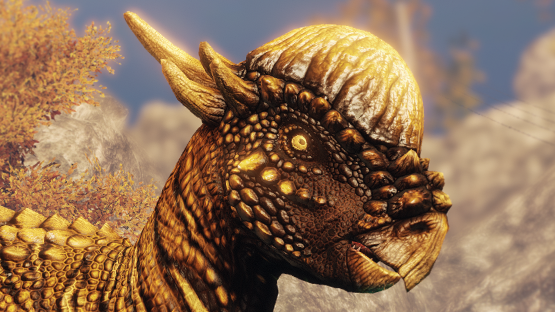 GoldLeaf Pachy (Autumn 2021)