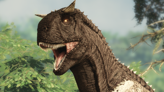 Mudbath Carno (Autumn 2021)