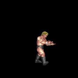 Steve Austin Taunt B