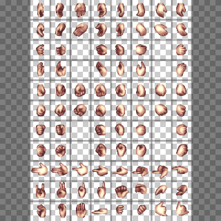 Steve Austin Hand