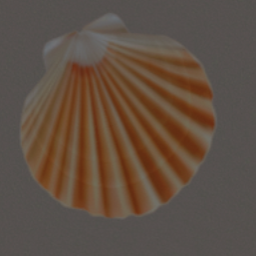 Seashell 1 Cutout